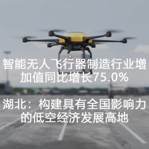 The added value of intelligent unmanned aerial vehicle manufacturing industry increased by 75.0% year-on-year; Hubei: Build a low-altitude economic development highland with national influence